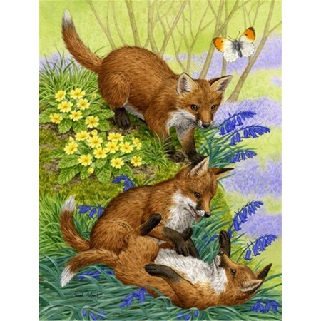 Carolines Treasures Fox Cubs Flag Canvas House Size ASA2131CHF